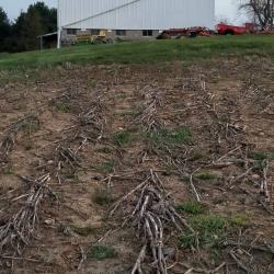 Back of barn current day