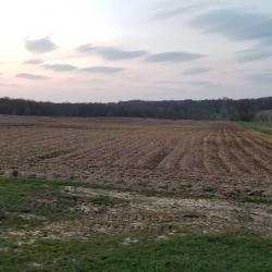 Farm fields current day